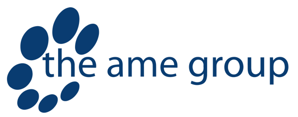 Logo The AME Group