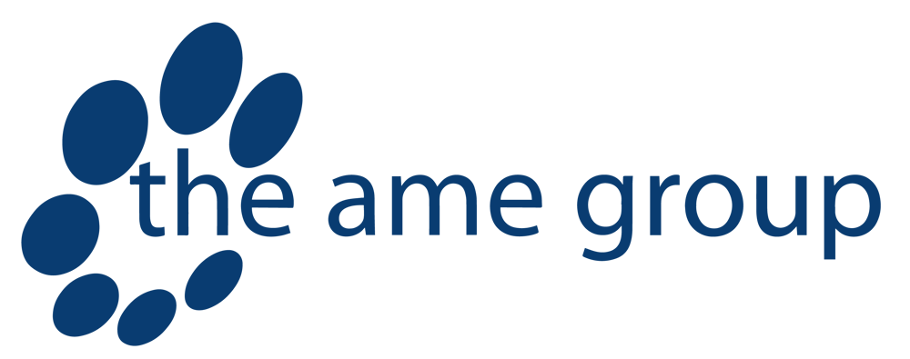 Logo The AME Group
